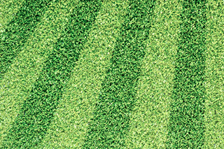 Professional Turf Cleaning Experts in Long Beach